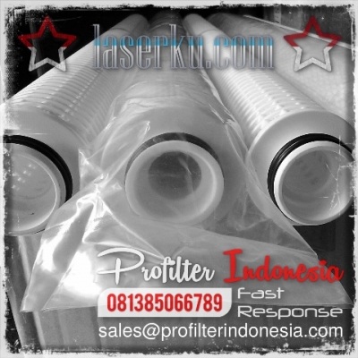 http://www.laserku.com/upload/PFI%20Twin%20Filter%20Cartridge%20Indonesia_20200622223336_large2.jpg