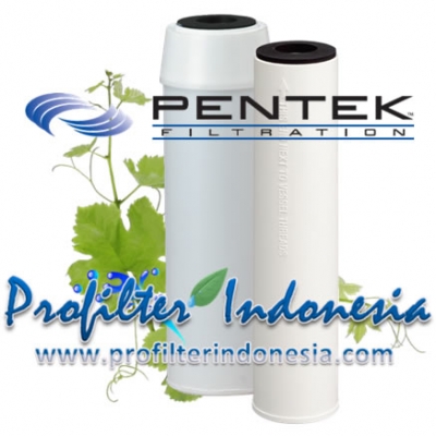 http://www.laserku.com/upload/Pentek%20CC-10%20Coconut%20Shell%20Granular%20Activated%20Carbon%20Cartridge%20Filter%20profilterindonesia_20130320035807_large2.jpg