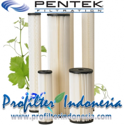http://www.laserku.com/upload/Pentek%20S1%20Pleated%20Cellulose%20Sediment%20Filter%20Cartridges%20profilterindonesia_20130320022508_large2.jpg
