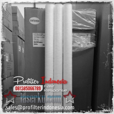 http://www.laserku.com/upload/Purtrex%20Cartridge%20Filter%20Indonesia_20200622232532_large2.jpg