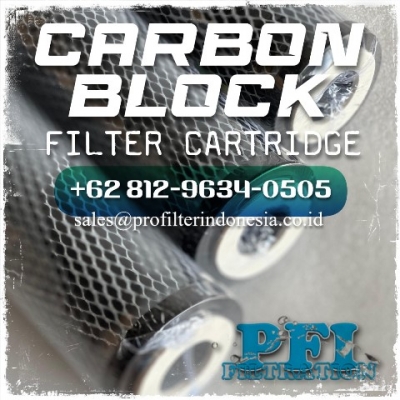 http://www.laserku.com/upload/carbon%20block%20briquete%20filter%20cartridge%20cto_20240627132207_20241104211953_large2.jpg